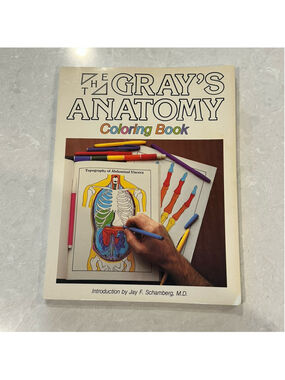 Vintage 80s Gray’s Anatomy coloring book